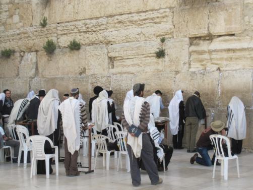 תנך לבגרות - לפי התוכנית החדשה