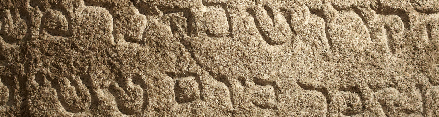 אורט אלון עפולה אביב לבגרות - תנ