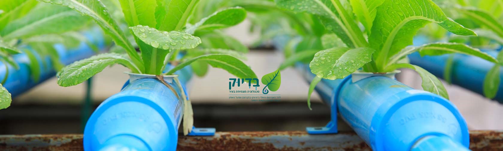 השתלמות חקלאות עירונית והידרופוניקה תשפ