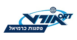 אורט פסגות